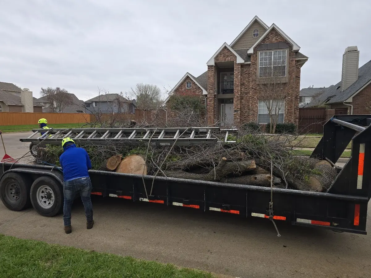Expert Deadwooding with proper safety equipment in Winterset